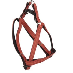 Hundegeschirr/Garnitur Länge 46-75 Cm, Breite 2 Cm ROT