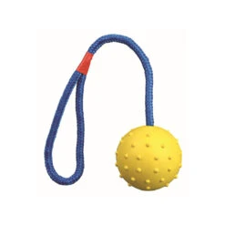 Naturgummi-Schleuderball ø 6 Cm