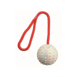 Naturgummi-Schleuderball Ø 7 Cm 5 Naturgummi-Schleuderball Ø 7 Cm -Angebote Hunde Rundum Store naturgummi schleuderball o 7 cm