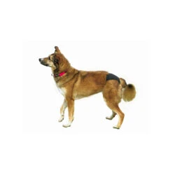 Schutzhöschen Deluxe Gr. M